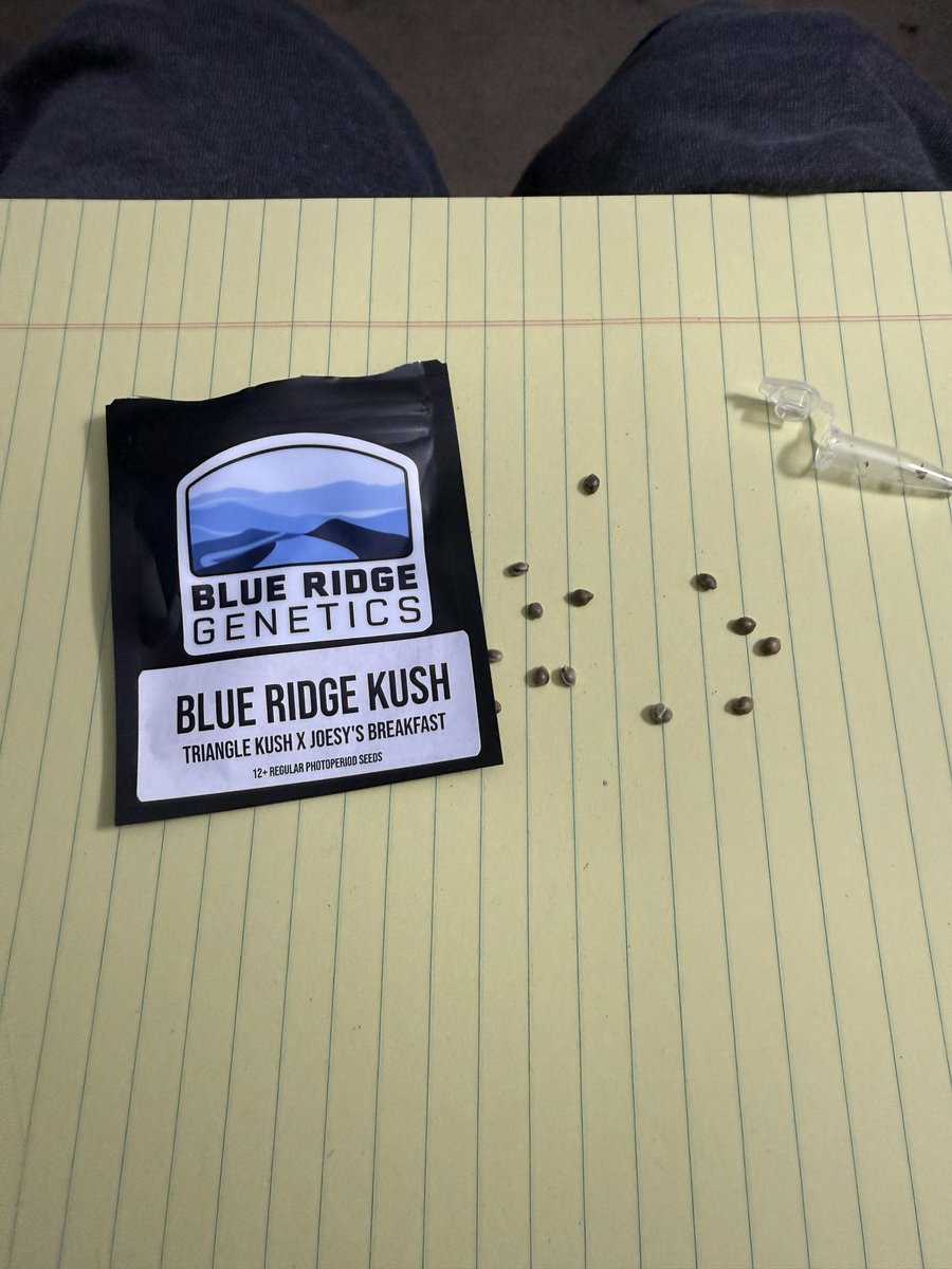 rudy_walte39293's tweet photo. A little something special appeared in my purchase from @BlueRidGenetics    Never seen this before https://t.co/1aZhNZxVLn