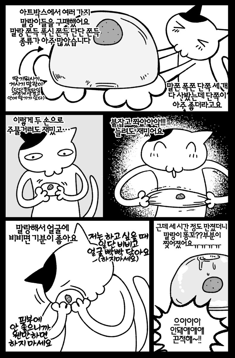 アサリ Asari tweet media