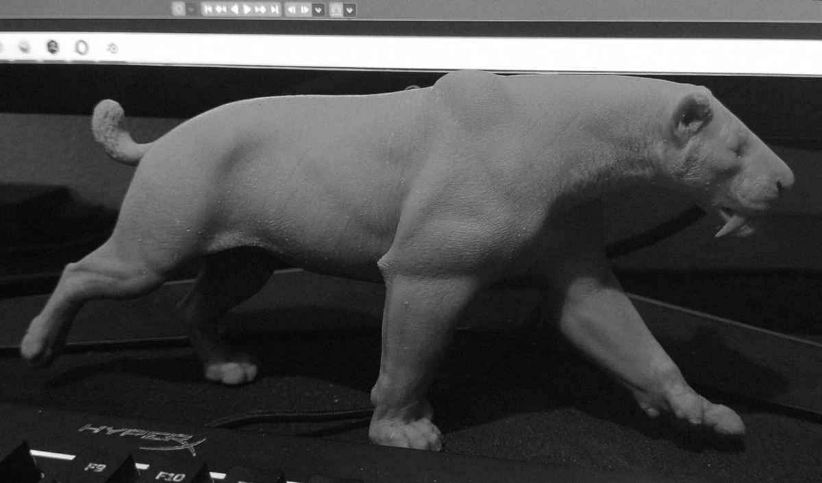 LucasMateus707's tweet photo. Smilodon

Pose based on an illustration by Mauricio Anton https://t.co/JFDWeLzIil