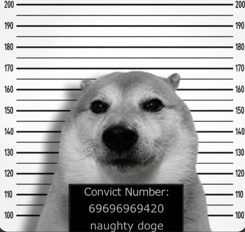 DogeOS's tweet photo. What am I guilty of? https://t.co/lgMWaLDYv6