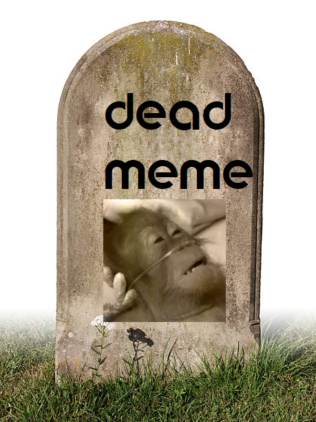 Dedmonkez's tweet photo. Reminder https://t.co/FPM1hfVG0g
