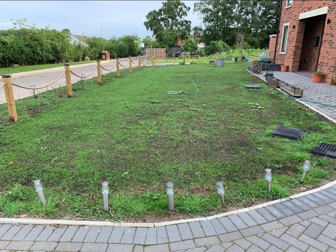 LawnMasterNotts's tweet photo. No #LawnEnvy video but I was well chuffed on Friday at a networking event
Customer who goes too, took a photo just to show me progress on their lawn 10 days in #sbswinnershour https://t.co/lvaAd7iP2Q