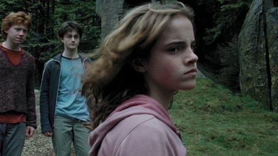 TheDailyHPotter's tweet photo. Never mess with angry Hermione 😤 https://t.co/A2cjMk7O6Z