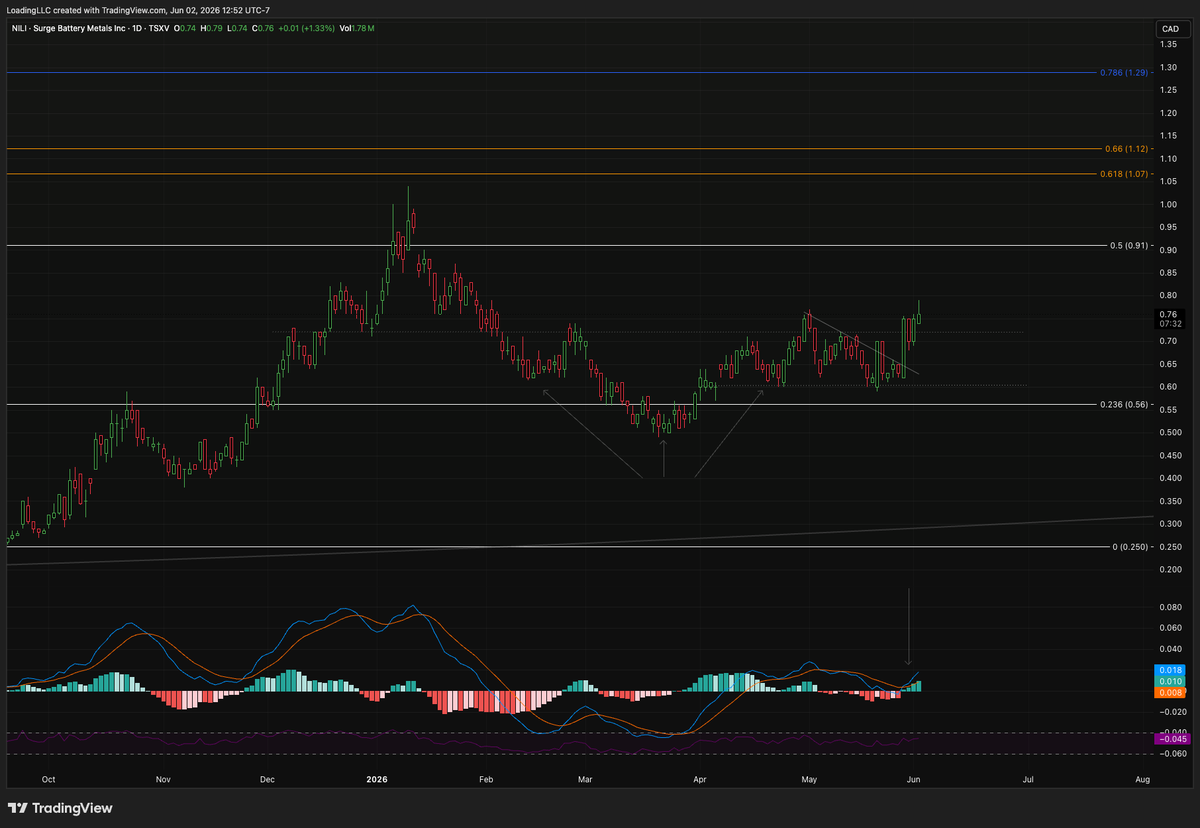 LoadingCapital's tweet photo. $NILI.V zoomed in H&amp;S on 1D https://t.co/snhnM8KBxK