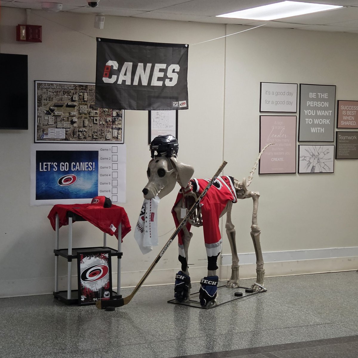 fishdaddy2011's tweet photo. @Canes caniac excitement all over the state https://t.co/hmqCkkp9YV