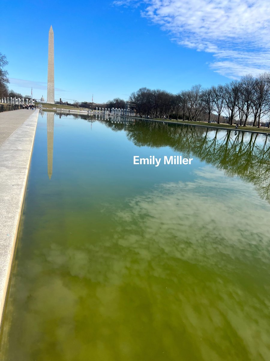 emilymiller's tweet photo. Here is the “green swamp” when Biden was president. The Reflecting Pool has been ignored for years. https://t.co/4P1TNHPxiN