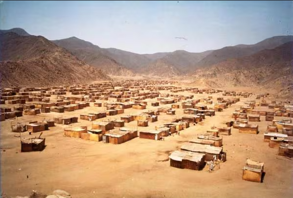 Jeremyy2005's tweet photo. @AN7HONY1811 llevala a egipto SJL https://t.co/fvaeBC3gLc