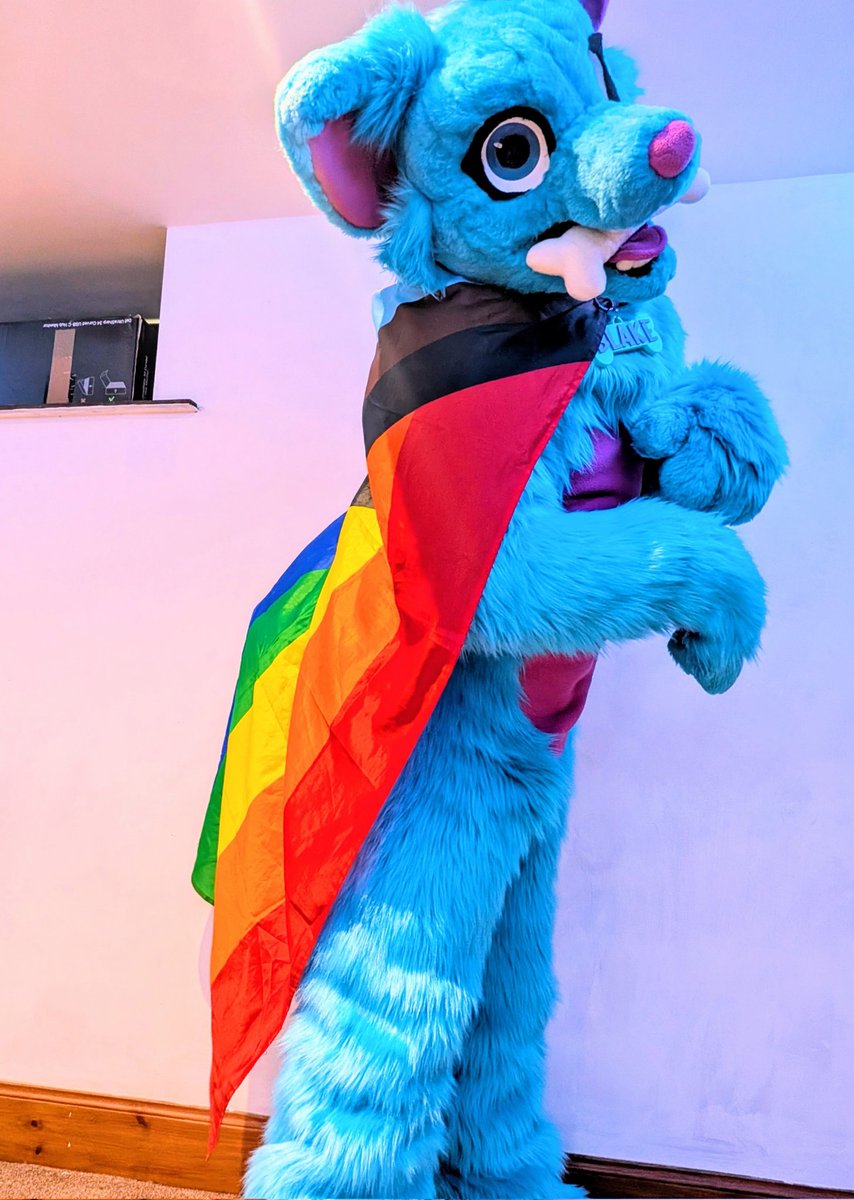BlueFluffyDoggo's tweet photo. Pride mode: activated. 
Floof level: maximum.

🏳️‍🌈 #pridemonth #furry #fursuit #gay #prideflag https://t.co/iMMse0ldcq