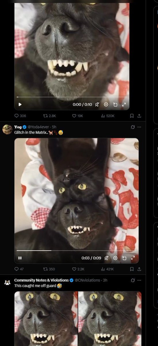 Goatyt tweet media