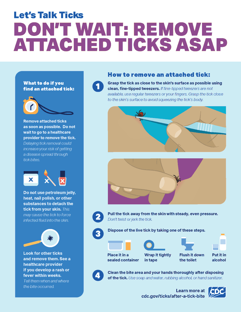 HuronCoHealth's tweet photo. It is important to remove ticks in a timely manner, as some ticks in the U.S. can carry pathogens that can cause human disease, such as Lyme disease, and many tickborne diseases can have similar signs and symptoms. The CDC reviews tickborne diseases at https://t.co/To0z4v4A40. https://t.co/TAqsO2bD9Y