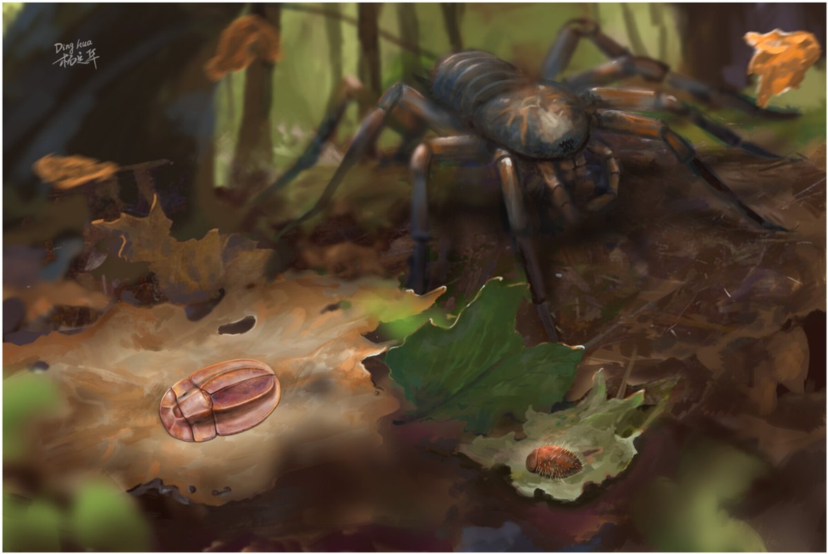 JournalSysEvo's tweet photo. Divergent, parallel defense strategies in micro-#beetles, each tailored to counter specific predation pressures, may have addressed distinct #ecological challenges in the mid-#Cretaceous.
Find out more➡️https://t.co/73untKcs2y @WileyEcology #JSE #evolution #ArmsRace #insect https://t.co/yn8eyrjK8R