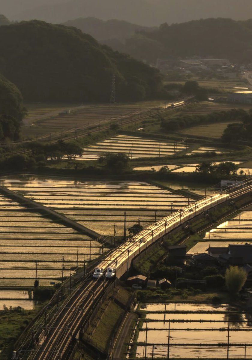 voshans's tweet photo. De pracht van het #treinleven…
(Foto Kinako Photography)
#Shiga #Japan
#trein #train #spoorwegen #railway
#fotografie #photography #rijst
#travel #travelphotography #rice
#landscape #landscapephotography
#natuur #nature #naturephotography
#shinkansen #hogesnelheidstrein https://t.co/3SXdSt547A