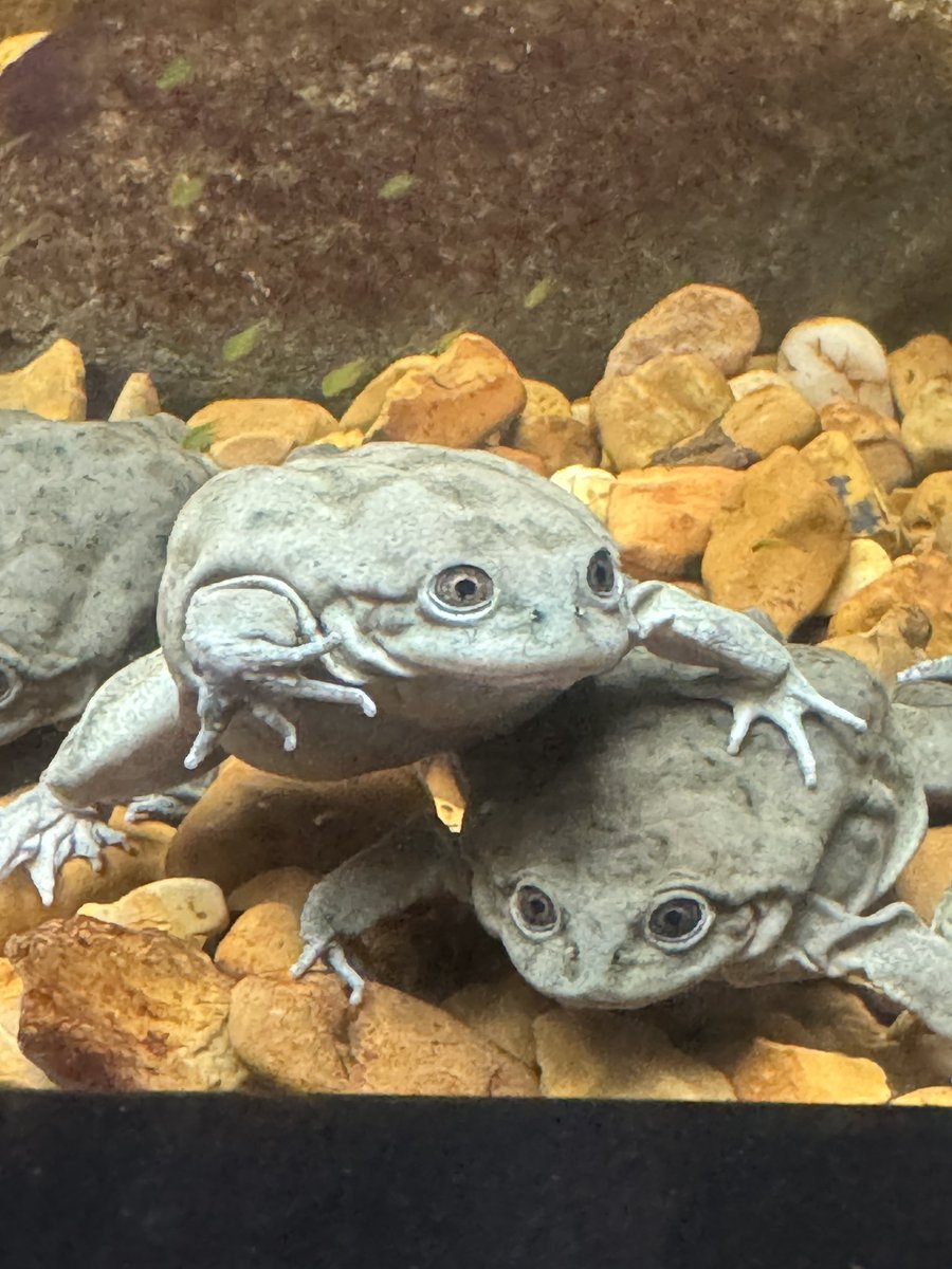 DadbyDefault's tweet photo. These guys have seen some things https://t.co/SQQEcjkNiA