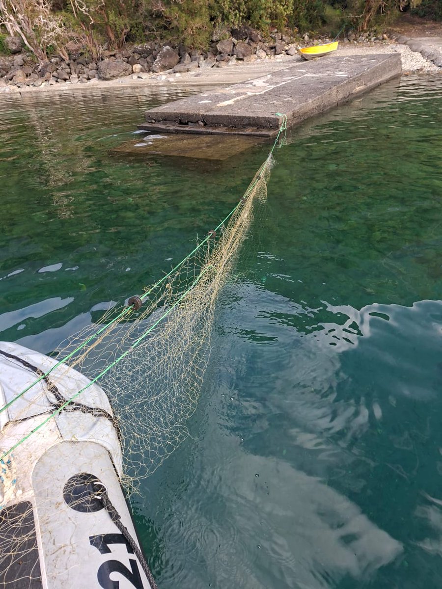 maritgobvld's tweet photo. PATRULLAJES LACUSTRES #LagoRanco.- El día 01 de junio, durante patrullajes de Policía Marítima, se detectó la instalación de redes de pesca en el sector de Pitreño, Lago Ranco, procediéndose a su retiro, por contravenir la Ley General de Pesca y Acuicultura. https://t.co/4qWtUq8P7H