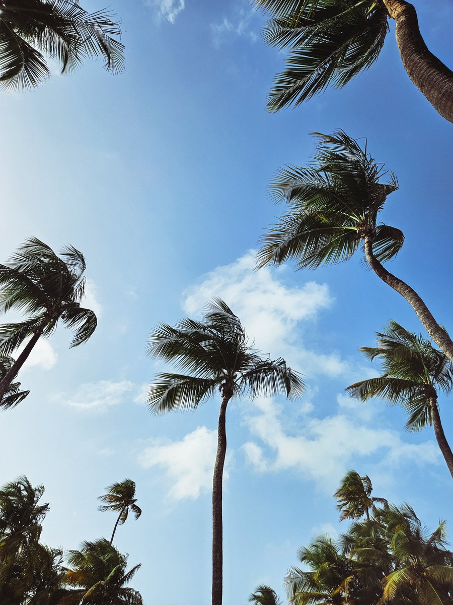 perryworldwide's tweet photo. much needed 🌴 https://t.co/7LjYqhwUBt