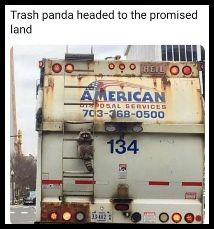 WholesomeMeme's tweet photo. https://t.co/Yen5Uh6LU7