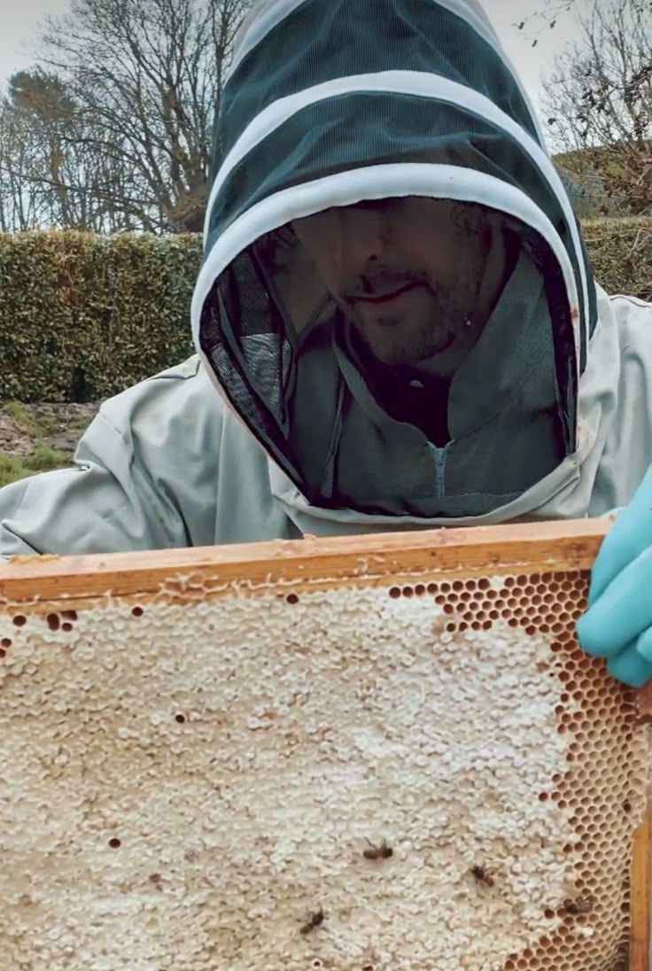 itwillcomebacks's tweet photo. he was just so happy to show his bees that's literally a father https://t.co/IVucvbUgEs