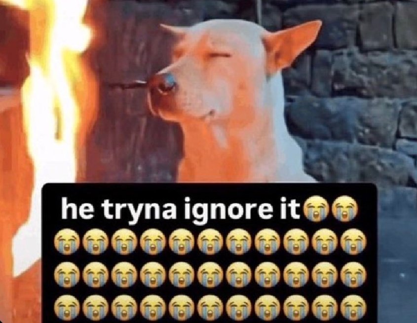 𝚜𝚊𝚞𝚌𝚢 tweet media