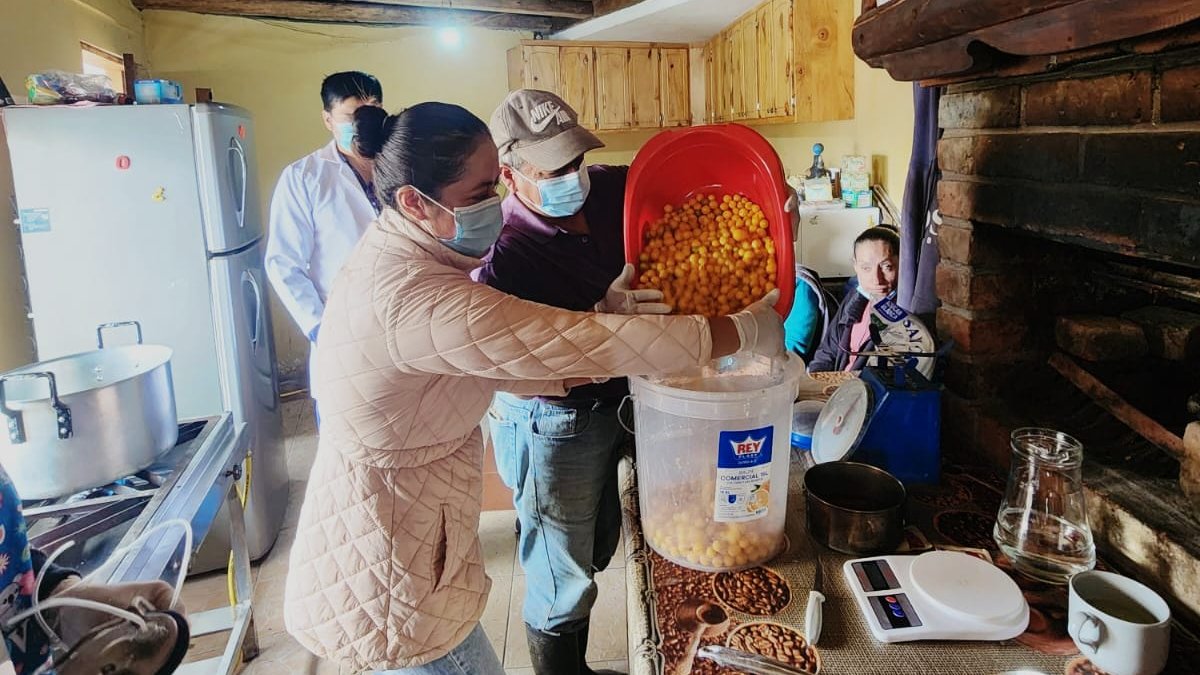 Agricultura_CZ6's tweet photo. #Azuay | Capacitamos a productores de #ElPan en la elaboración de vino artesanal de uvilla, una alternativa de valor agregado que permite aprovechar esta fruta nativa y orgánica, y diversificar sus ingresos. 
#MAGP https://t.co/h44rQndZBy