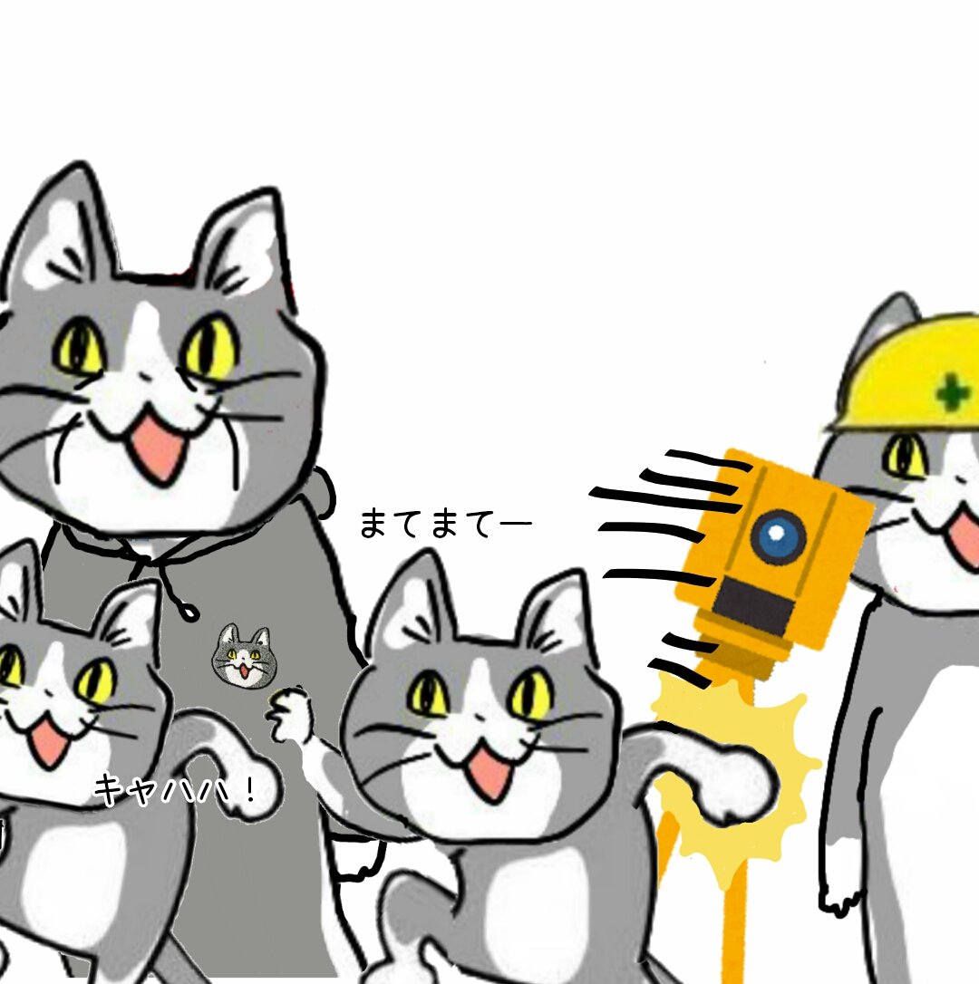 karaage_rutsubo's tweet photo. ああああああああああああああああ！！！！！！！！！ #現場猫 https://t.co/7Wo6Jyj2BO