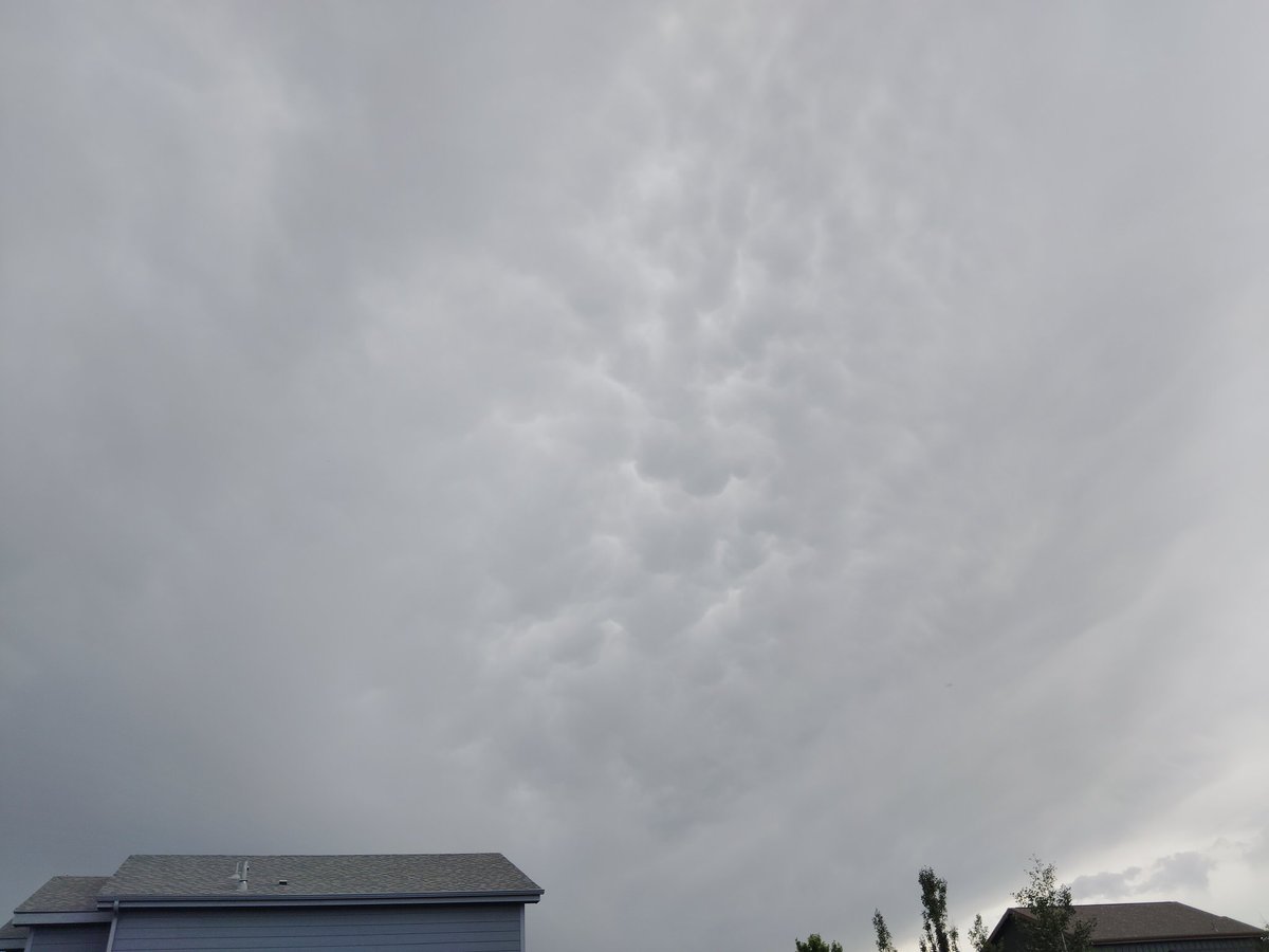 mpitt80's tweet photo. @NWSBoulder CBMAM (Cumulonimbus mammatus) overhead and S of Milliken, SW Weld County #cowx https://t.co/icUGiSfH0X