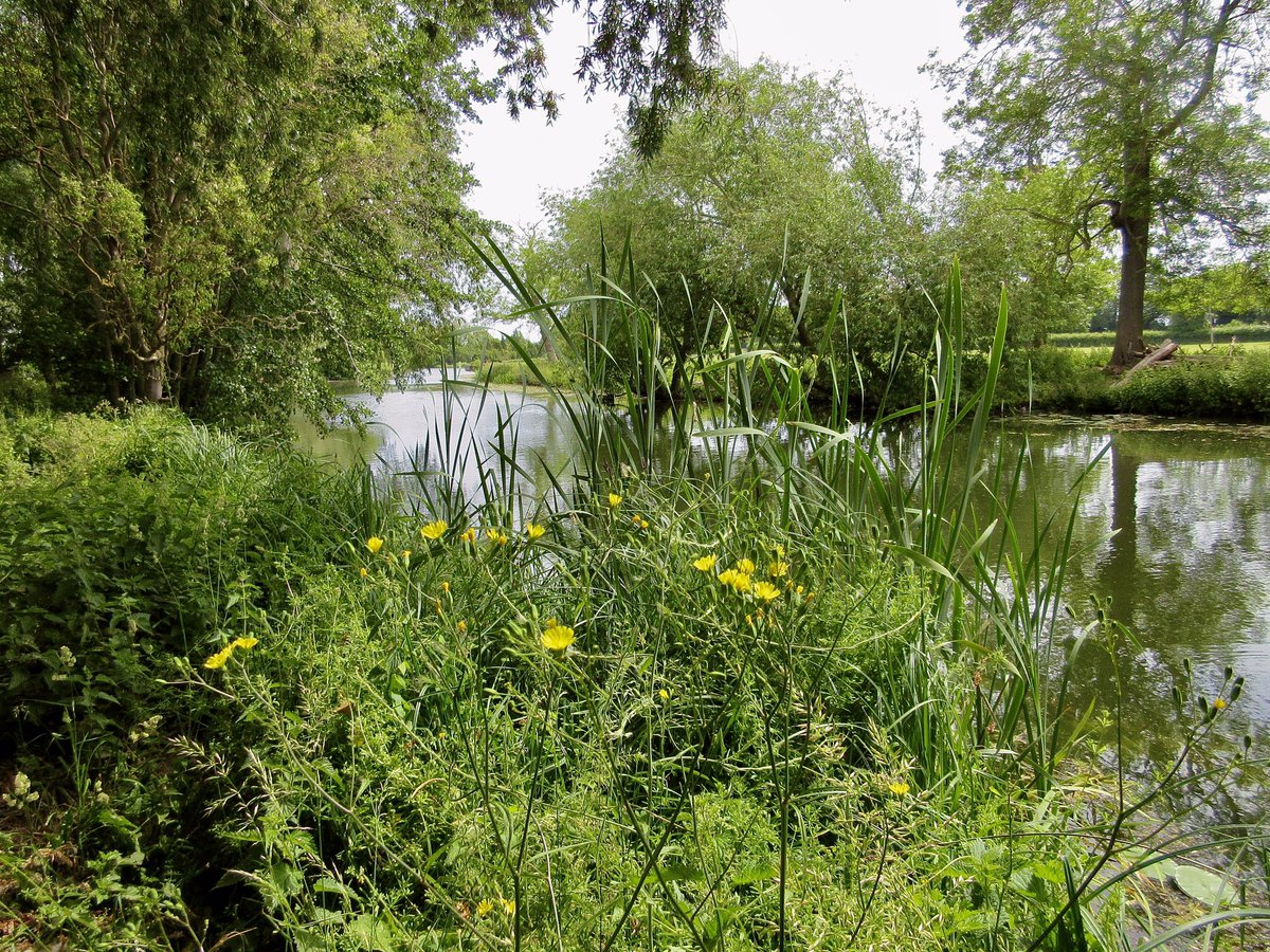sdanielis's tweet photo. From yesterday at Clayhithe… https://t.co/Jg4VtAd3Qp