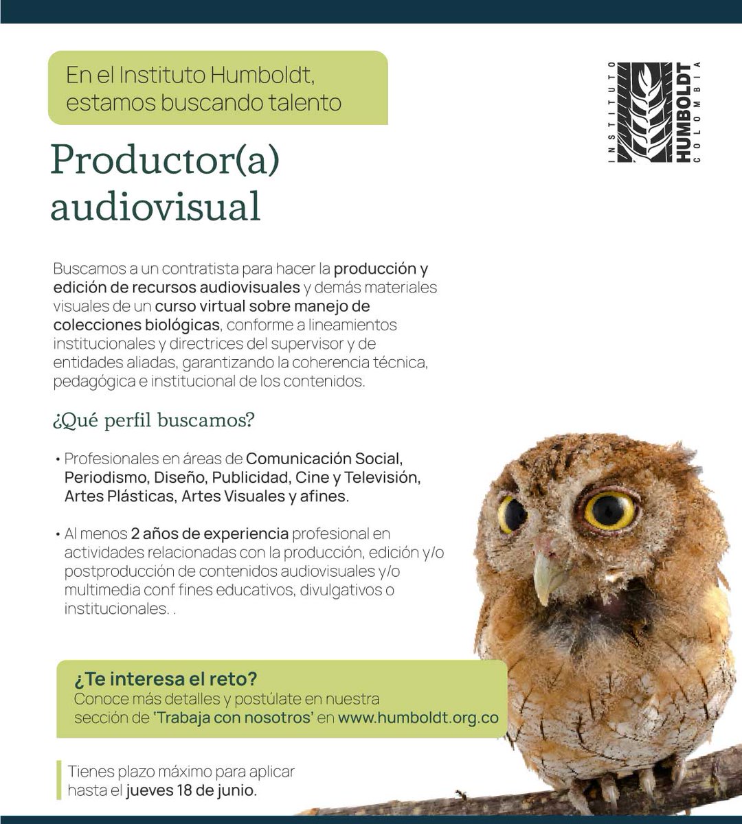 inst_humboldt's tweet photo. CONVOCATORIA ABIERTA 📢 | #TrabajoSíHay
Buscamos a un productor audiovisual para crear el contenido en video del curso virtual sobre manejo de colecciones biológicas.

Conoce los Términos de Referencia (TDR 23-094) y cómo postularte en:
https://t.co/PGwfysGgHh https://t.co/9QLXdLaGjj