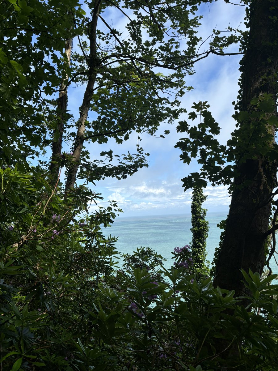 TorresHalstead's tweet photo. The most beautiful walk today, sometimes the UK shows how pretty she is 😍 https://t.co/JNMXde3w7u