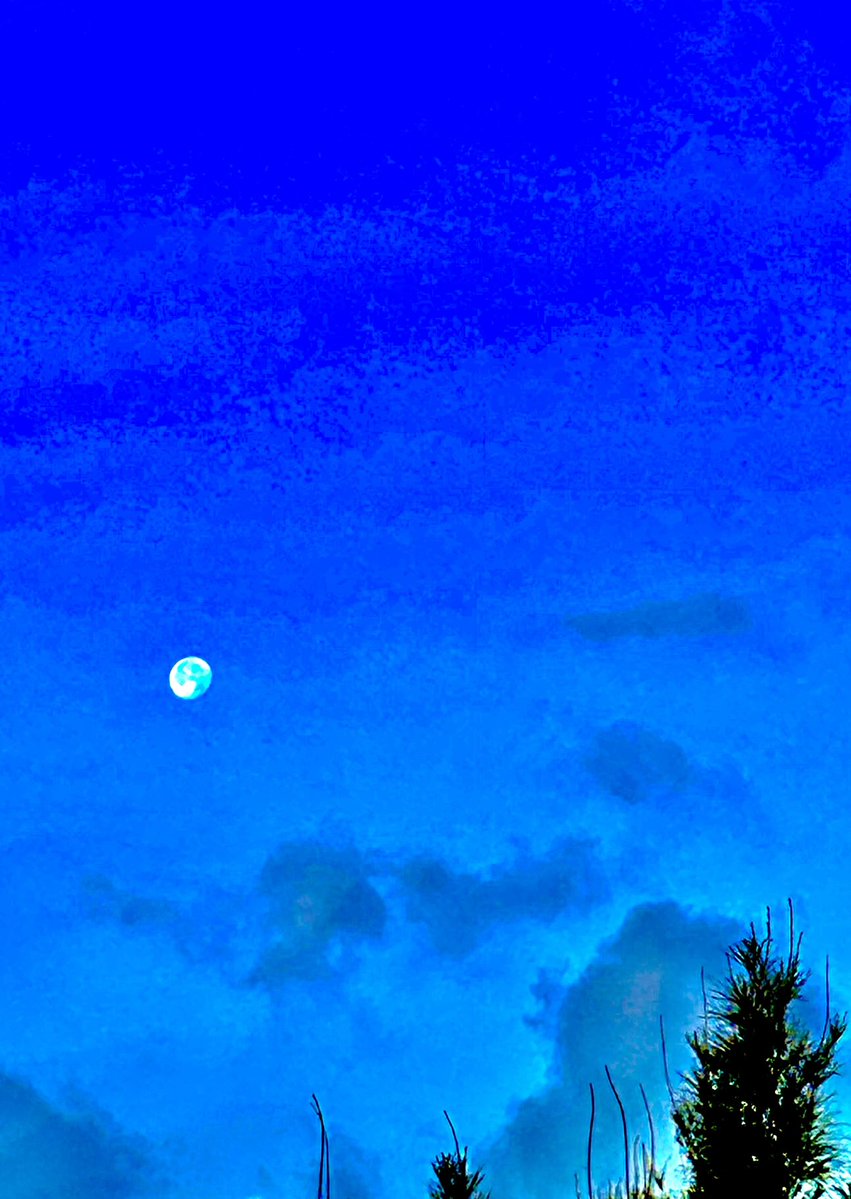 LJmfSFTsfxuiMl5's tweet photo. 6:09  am https://t.co/6UeWjs4mLm