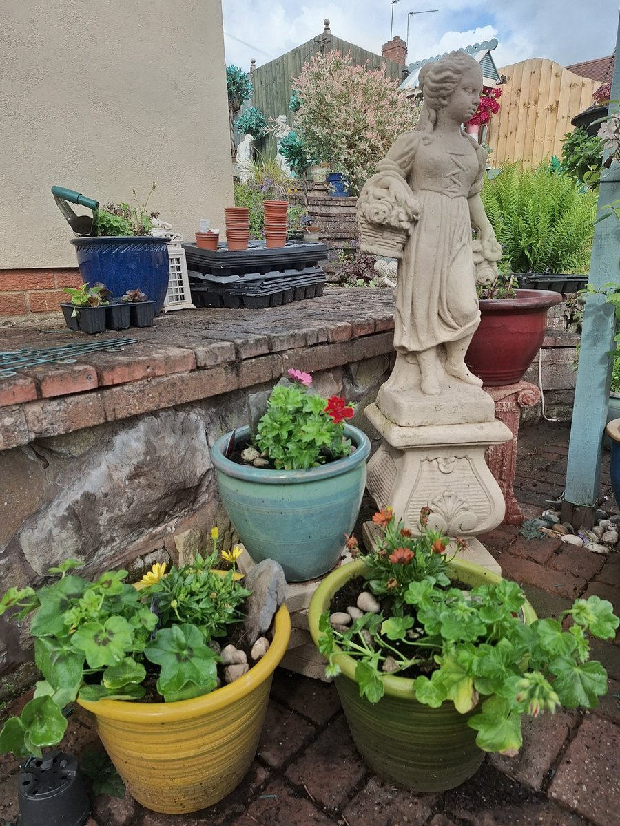 ktboldy's tweet photo. Not my Daily Diary
Tuesday 2nd June 2026

#DementiaAwareness

Here we are, only the second day of summer, which has arrived with barely a whisper, let alone a fanfare. We had such heavy, persistent rain through the night that by morning, the garden was already well and truly drenched, no extra watering was needed from me today, which saved me an hour. Going out to plant first thing, the air still felt damp, with a biting chill, so I was glad to put on my warm coat before I picked up a trowel.
Yesterday, I’d only managed to plant 10 African Daisies, today, with a little more go in me and a touch more time, I got 20 planted into the pots. I was lucky to have an hour and a half extra to myself before I needed to wake Chris, as Mandy, Chris’s hairdresser, was due at 10.30, giving me far more time outdoors than usual. The temperature climbed to 17°C, so it was far from summery warmth, but warm enough to lose myself in the work.

Mandy arrived promptly and worked her usual magic, finishing Chris’s hair around 12.30. She looked absolutely lovely afterwards, with soft golden blonde curls, Chris was so pleased with the result. I wish I could do that for Chris on a daily basis..

Before Mandy left, we booked her next visit for July. After a busy morning bent over pots on my work top, I dashed indoors for a quick shower, then put on a cheerful flowery patterned shirt and a pair of shorts, dressing for the weather as it had warmed up a little. If you’re going to walk into a pub dressed like that, you’ve got to keep your sense of humour, and I’ve got plenty of that. Chris and I then headed out to The Old Gate at Heathton, one of our favourite spots. We settled under the awning on our favourite couch, sheltered but still able to feel the soft breeze. Chris enjoyed a crisp glass of Sauvignon Blanc, while I treated myself to a pint of Bathams real ale and we shared a bowl of chips between us. It was just perfect.

 Before long, we were joined by Julie who’d commissioned the portrait of Lilly I shared online just last week. She’d come to tell me just how overjoyed Lilly’s mother had been when she received the portrait, apparently, it had brought happy tears and a lot of happiness to the whole family. Hearing news like that fills my heart with pride, there’s no feeling quite like knowing something you’ve created with your own hands can bring so much joy to someone else. We didn’t stay too long, though, Chris soon said she was ready to go home, but not before we stopped off at the Pavilion Garden Centre first. I was after even more flowers! I need 20 trailing geraniums to plant with the African Daisies I’ve just planted. I know, I must be a glutton for punishment, adding more work for myself, but I love our garden and losing myself working in it. When the blooms are in full glory later this summer, it will all be worth it. We rarely sit out in the garden these days, and when we do, it’s only briefly, but there is nothing I love more, than wandering through the garden daily , taking  all the beautiful, glowing colours which do lift my spirits so much.

 Back home again, the sky was putting on its usual British summer show of, quick sharp showers. Later in the afternoon, a friend who works as an electrician popped round to have a look at an issue with one of the sockets in the garage. After checking it thoroughly, he sadly couldn’t work out exactly what was wrong, so he couldn’t fix it today. I’ll need to sort out what happens next, it’s a necessary job as neither the waterfall is my favourite spot in the garden, or the fountain is running, 

 For dinner, I cooked something simple but delicious, poached smoked haddock, served with a baked potato and a milk sauce. An enjoyable  meal to round off the day. After yesterday’s low spell, today felt a lot better proof that even when things feel overwhelming, there’s always something to lift your spirits

Have a lovely evening or day wherever you are in the world 
Keith and chris xx