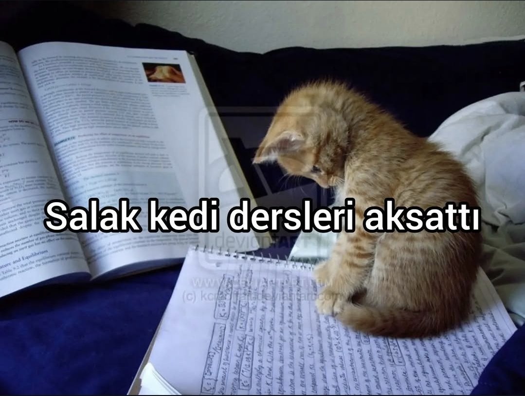 ispanakyesili's tweet photo. https://t.co/U2SC6BE4bl