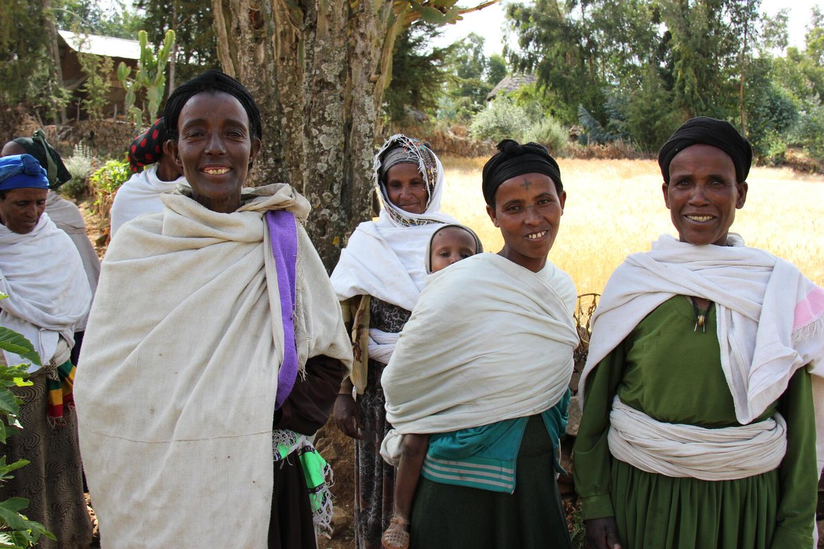 BiovIntCIAT_eng's tweet photo. 🌾✨ What can five grams of seed become? 🔬 From a tiny sample of durum wheat, we reached 3 million farmers in 🇪🇹 Ethiopia and producing around 4.5 million tons of cereals annually🌍🌱
🔎 Discover more: https://t.co/EqFquaUmJQ https://t.co/fn6ggKqNPx
