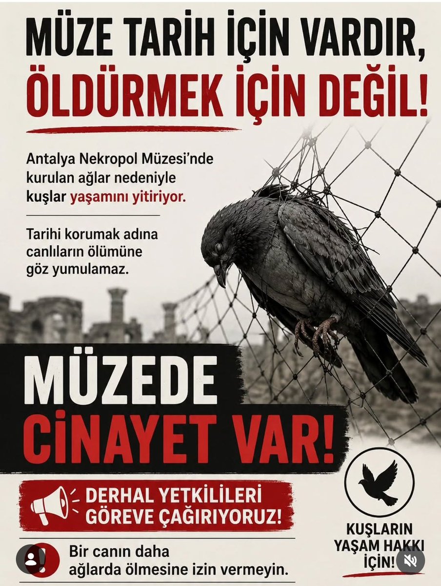 ss_biricikk's tweet photo. @gurkanhacir Canlıların hayatı ihmale kurban edilemez. 
Nekropolde Katliam https://t.co/4jKJUUcnqq
