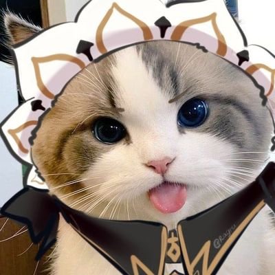 minjinasa's tweet photo. alguien con esta pfp me dio like me voy a morir de ternura https://t.co/2yIgcleMwo