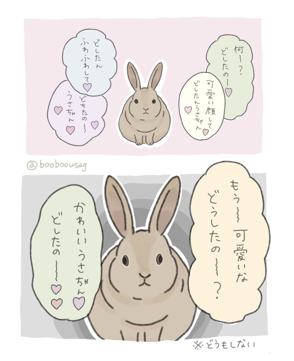 booboousag's tweet photo. 飼っている動物を質問責めにしてしまう　
どうもしてないのは分かってるのになぜか「どしたの〜？」って聞いちゃうんですよね https://t.co/fyZS8Oo9vH