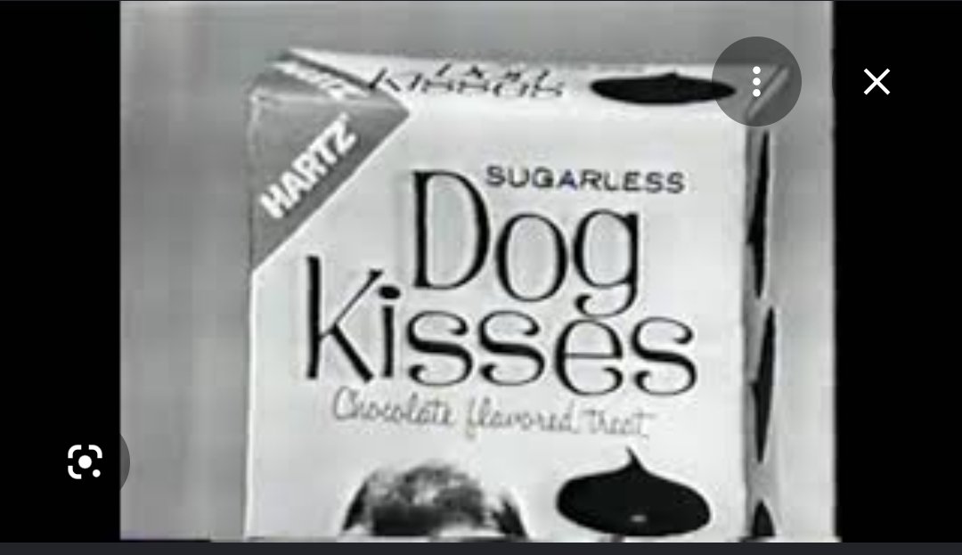seaglassbitch's tweet photo. @RandyGoat Remember those doggy "chocolates "? I tried on. https://t.co/7uKuWxbQYh