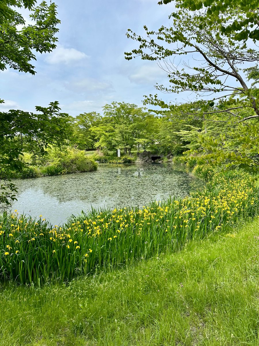水辺のある公園 時間もゆっくり流れるような(ˊᵕˋ)