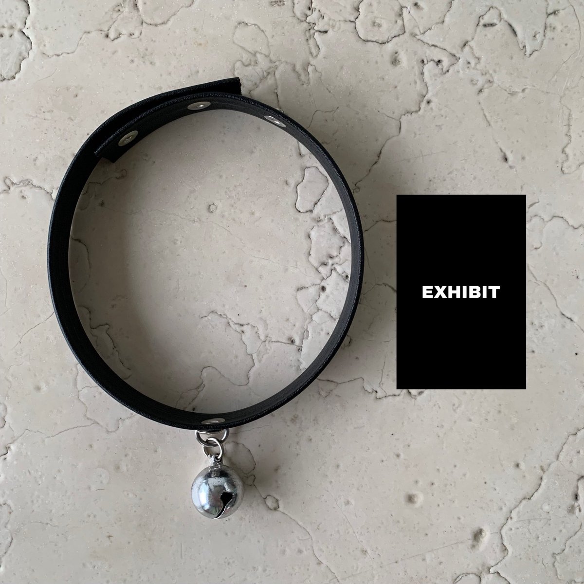 ExhibitMx's tweet photo. Una linda gatita 😽 https://t.co/F3O9FxGb7X