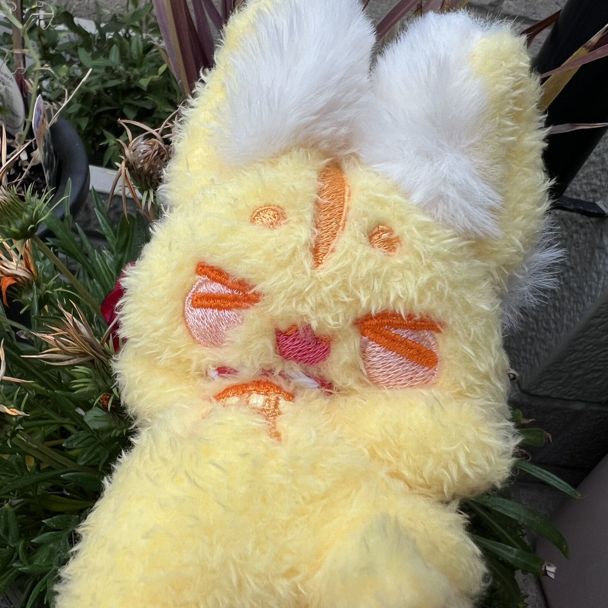 H*o様 ふくちゅげ幻獣 めだまやきちゃん ぬいぐるみ おはようございます✨️ 本日メルカリオークションめだまやきちゃん20