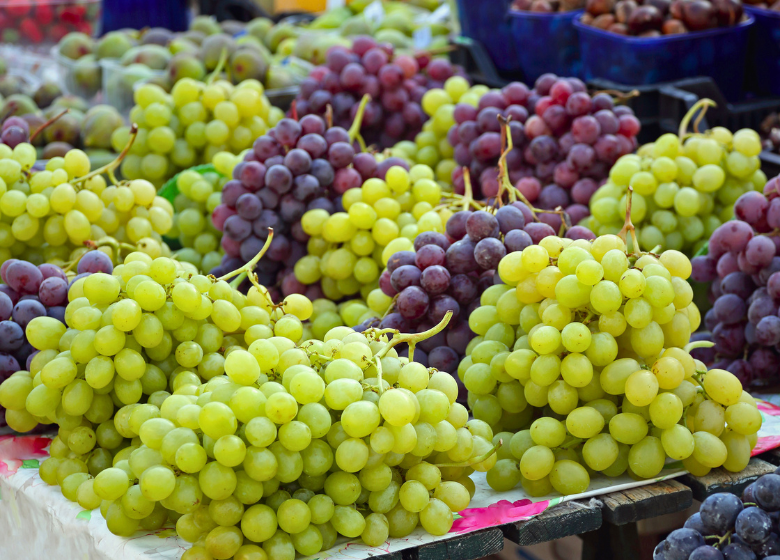 agronometrics's tweet photo. 🍇 India’s 2025/26 table grape season was heavily impacted by an unusually long monsoon and excessive rainfall, affecting bud fertility and reducing production, especially in Thompson Seedless varieties.

Read more: https://t.co/tIfhW4Gu1s

#India #Grapes #Agriculture https://t.co/dricM1SLu0