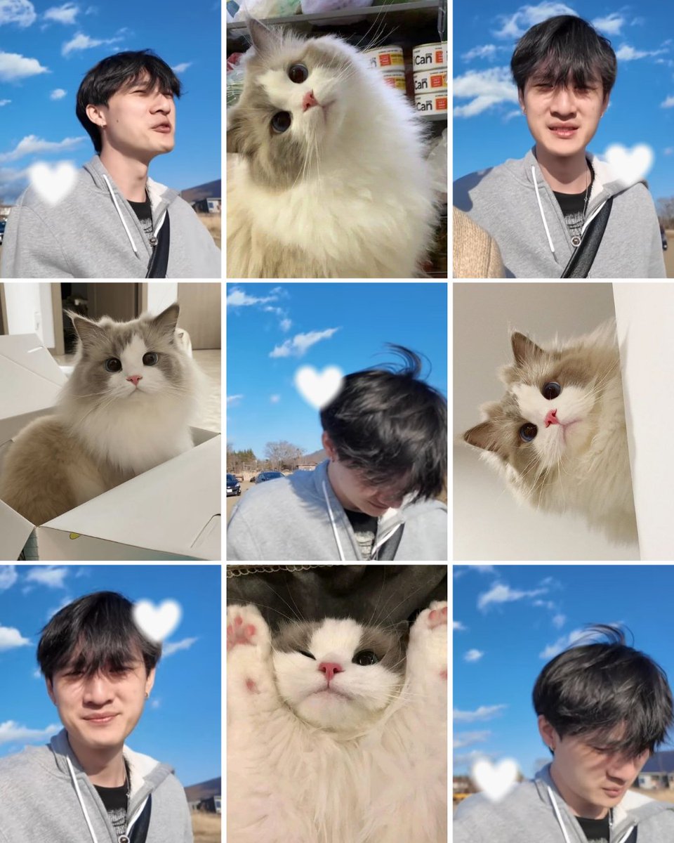 will. ˙𐃷˙ tweet media