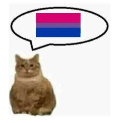 Wallyyzanalisa's tweet photo. Não comento muito sobre, mas eu sou bissexual 
Eu namoro uma garota
Já tive atração por homens 
Não invalidem a sexualidade do amiguinho e da amiguinha https://t.co/NdBchPYwKL