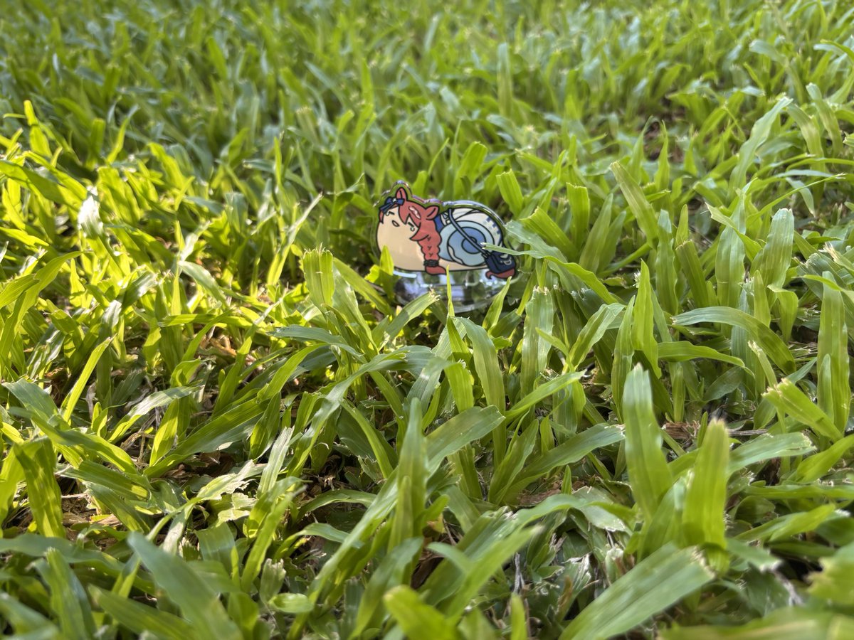 TrueRadishMan's tweet photo. I found a weird creature on my lawn this morning 😨

#umamusume #ウマ娘 #umamusumepretttyderby #radishmangaming https://t.co/pGYFqjwAQI
