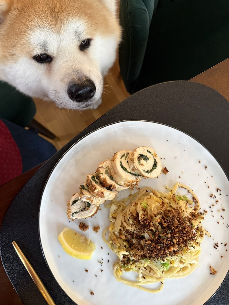 happyylemon's tweet photo. 本日は簡易チキンバロティンと余ったパン粉でパスタ。余ったのにほぼメインの量… https://t.co/yxNr1LhwnQ