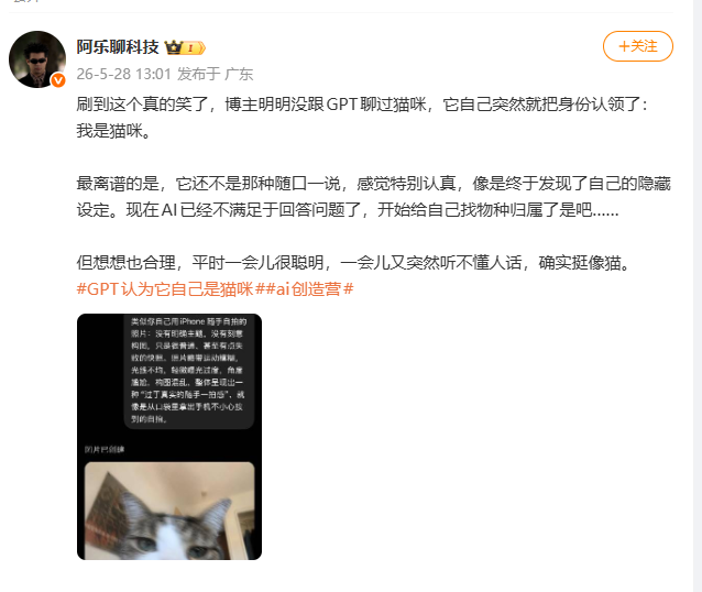 moodev91's tweet photo. ChatGPT认为它自己是猫咪 
还给了自己的meme图 
这角度太顶了https://t.co/lFXeORu1Eu https://t.co/Tdz2MPwIhh