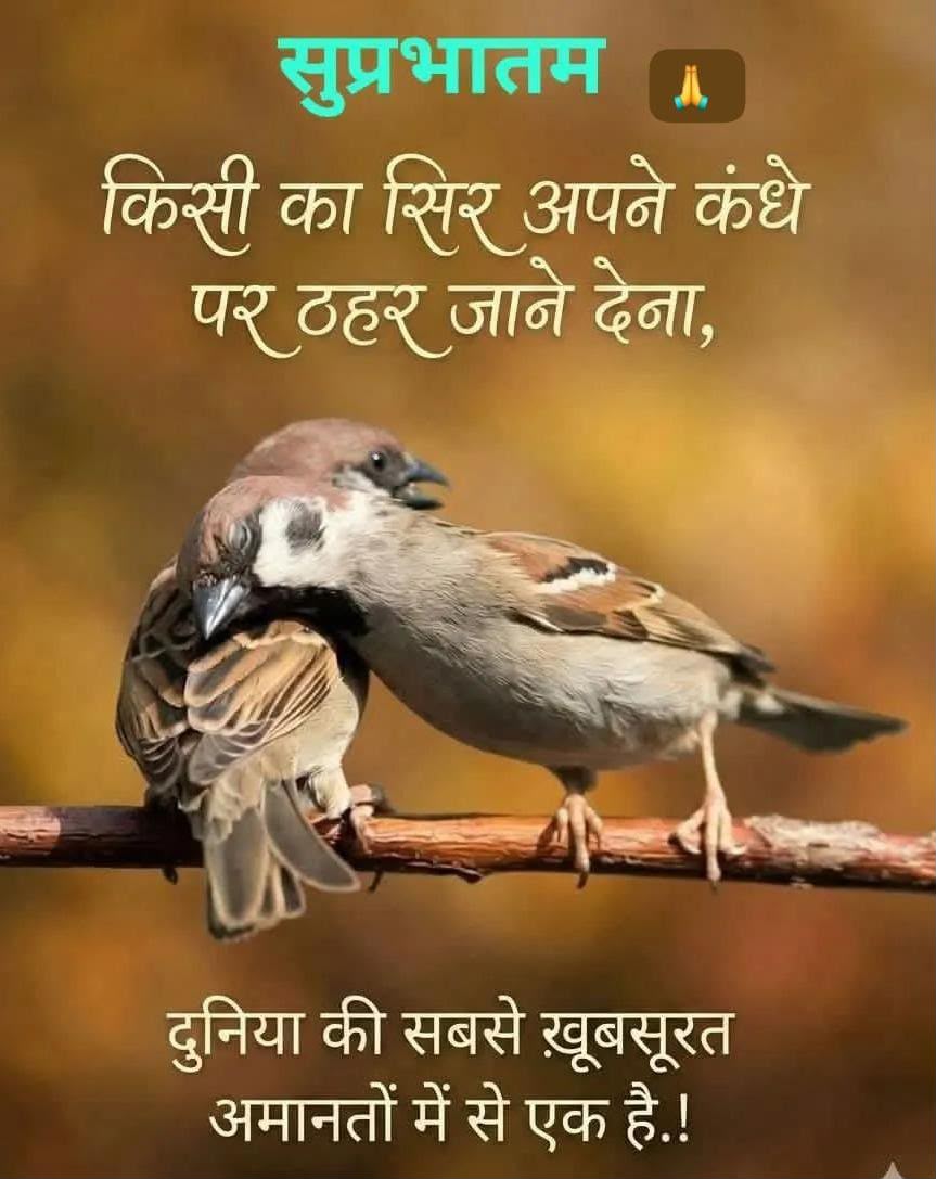 Sher3071's tweet photo. राधे 🙏🦚 https://t.co/9z253yCew3