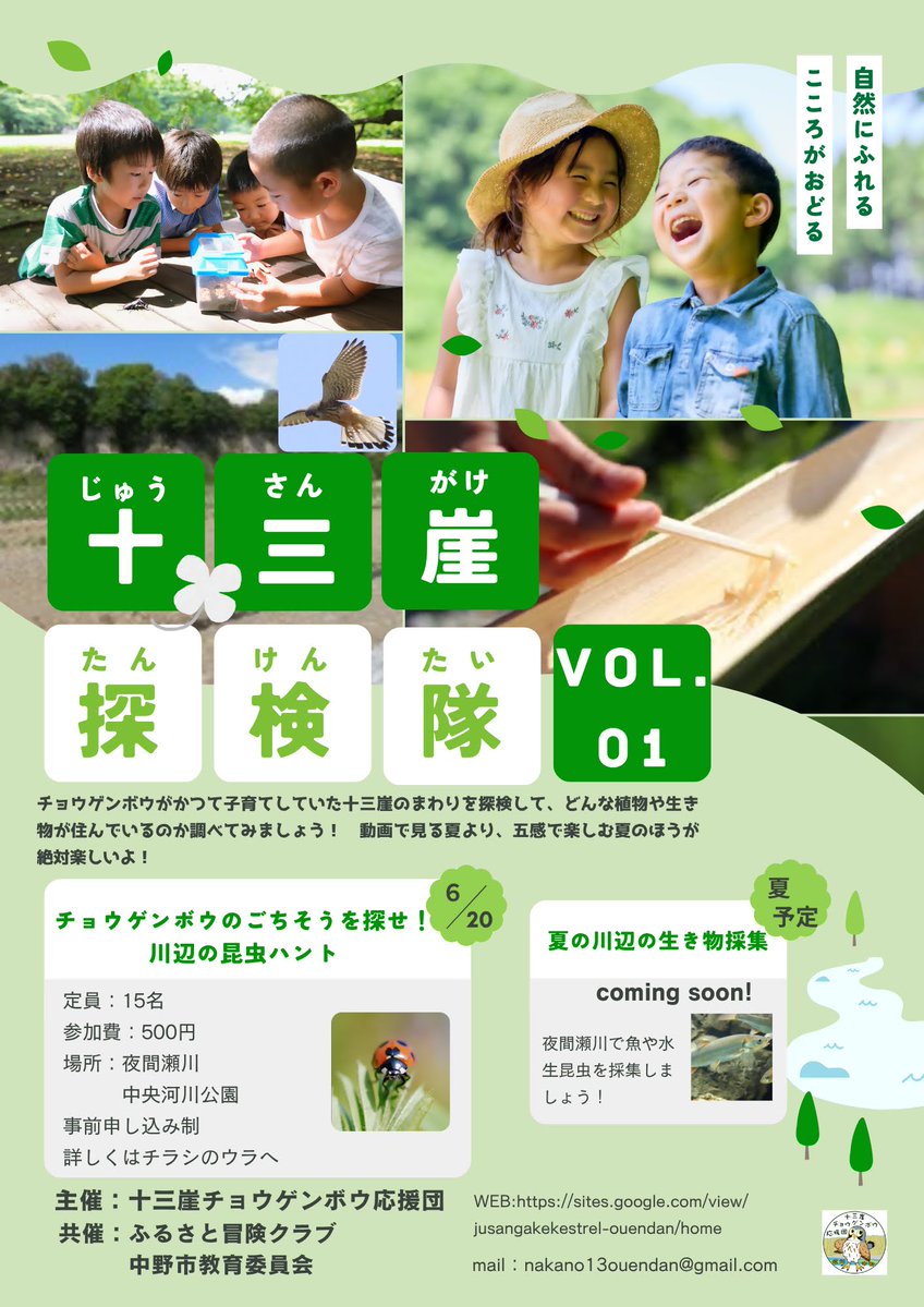 kestrel_0uendan's tweet photo. 【告知】中野市十三崖探検隊vol.01を開催します！
日時　2026年6月20日（土）8:30-13:00
場所　夜間瀬川中央河川公園（左岸側）で受付
参加費　一人500円※要事前申し込み
十三崖の周辺を探検して昆虫採集などします。生き物から見えてくる十三崖の生態環境を解き明かそう！ https://t.co/6XE6s3KTuc