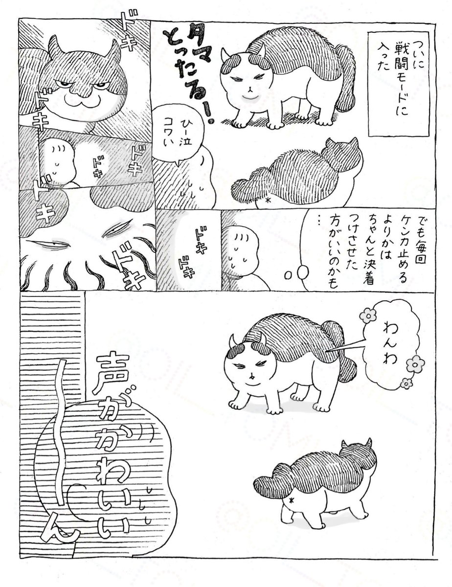 オイル富🪤 tweet media