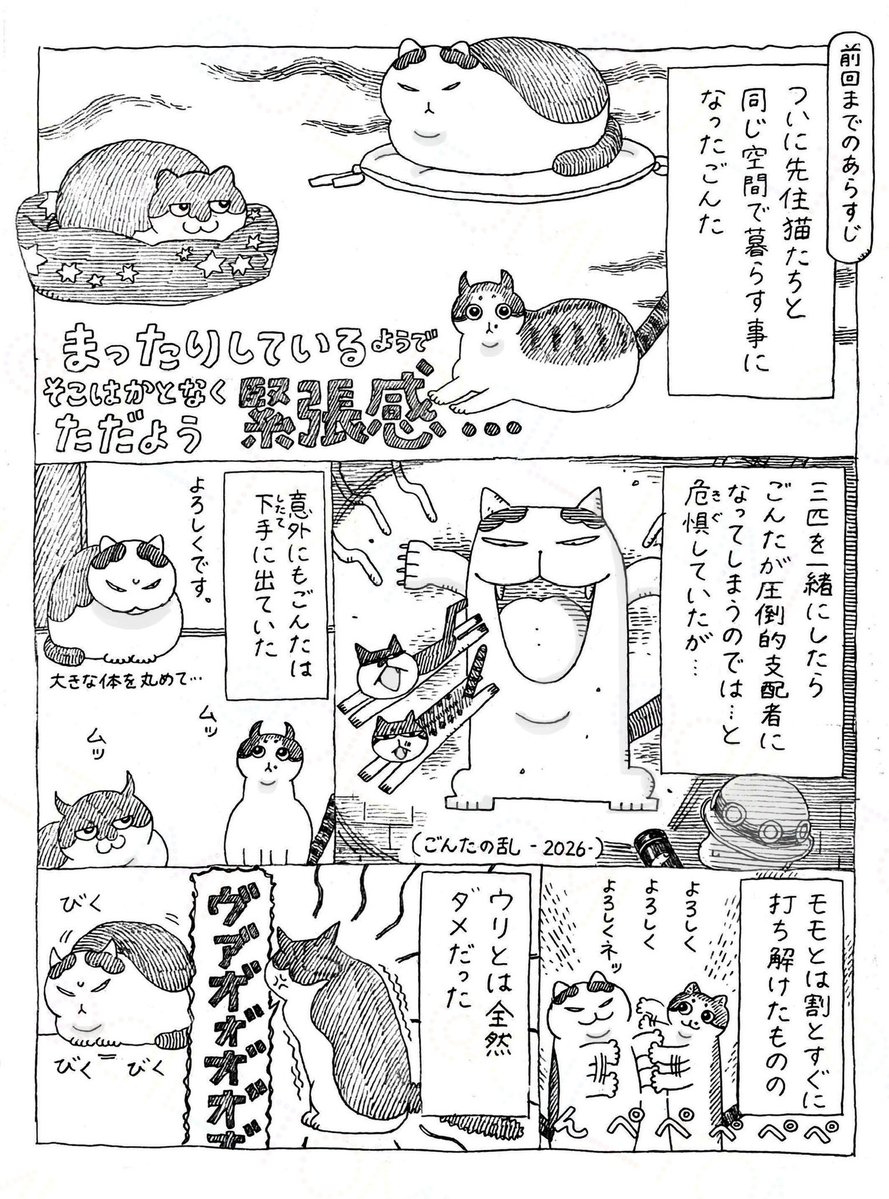 オイル富🪤 tweet media