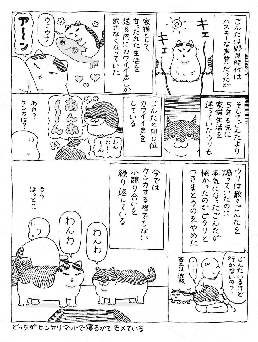 オイル富🪤 tweet media